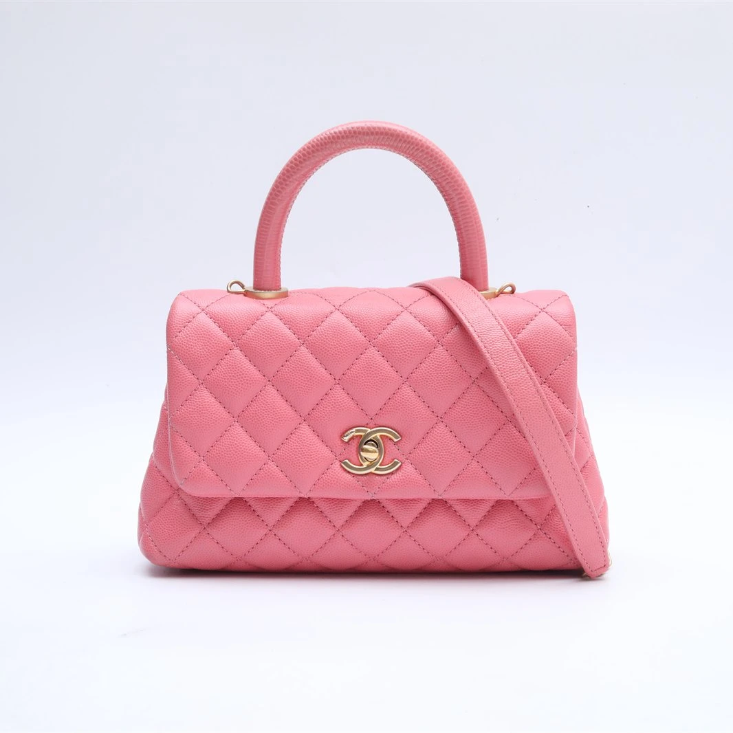 95新 Chanel/香奈儿 小花双双 448988 Coco Handle 小号 单肩包