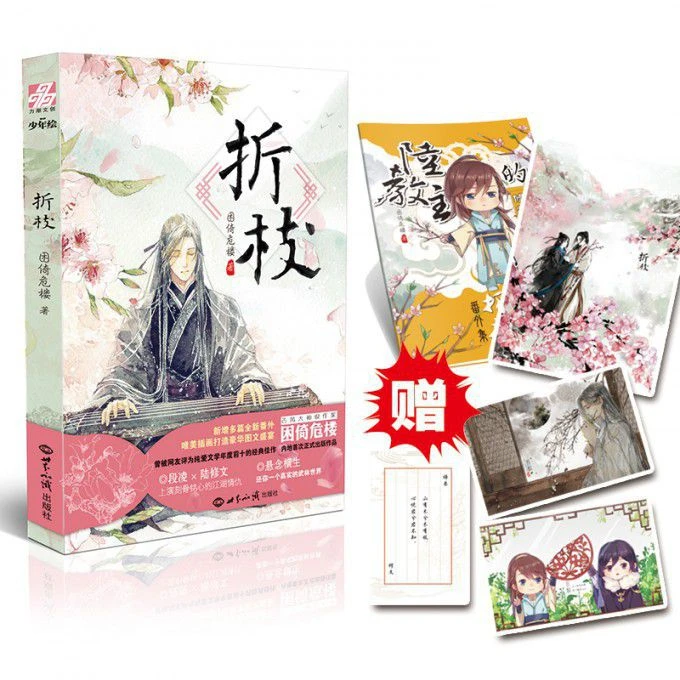 折枝  正版书籍精选好书