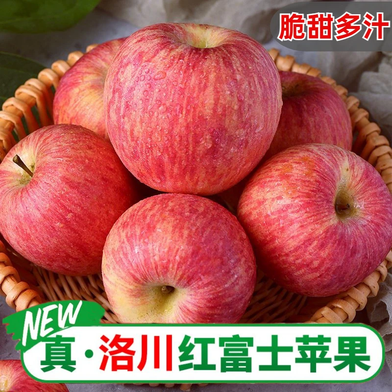陕西洛川苹果正宗红富士当季新鲜现摘水果脆甜好吃2/9斤 坏果包赔