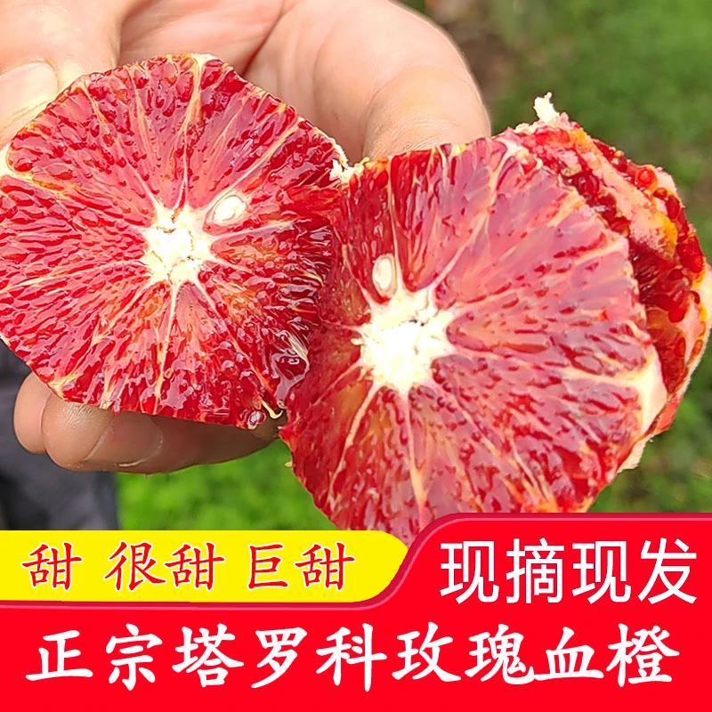 【细腻香甜】阳光塔罗科血橙新鲜血脐橙子水果多汁产地直发一箱 2斤