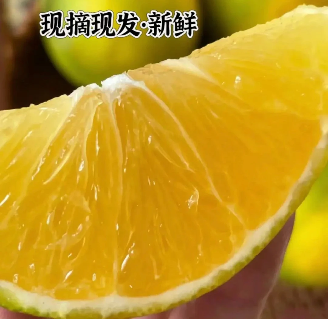 【福利抢一箱】云南冰糖橙绿皮冰糖橙当季水果哀牢山直发新人福利反