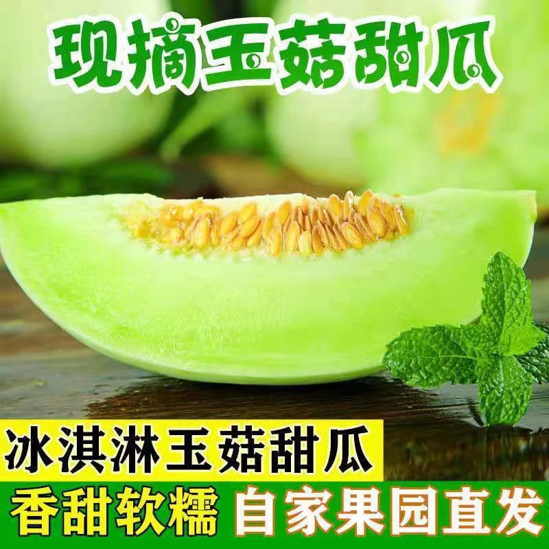 玉菇甜瓜蜜瓜9斤  新鲜水果批发当季脆玉茹香瓜哈密瓜羊角蜜5/3斤