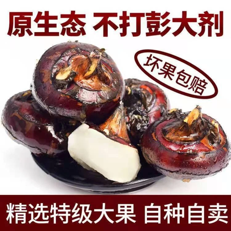 【清脆爽口】新鲜马蹄水果荸荠现挖脆甜多汁地栗地梨蔬菜1-9斤毛重