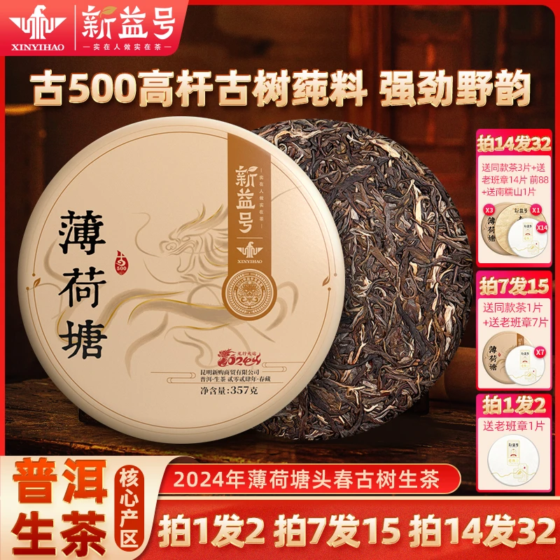 春茶季拍7发8新益号2024古500易武薄荷塘古树普洱茶生茶
