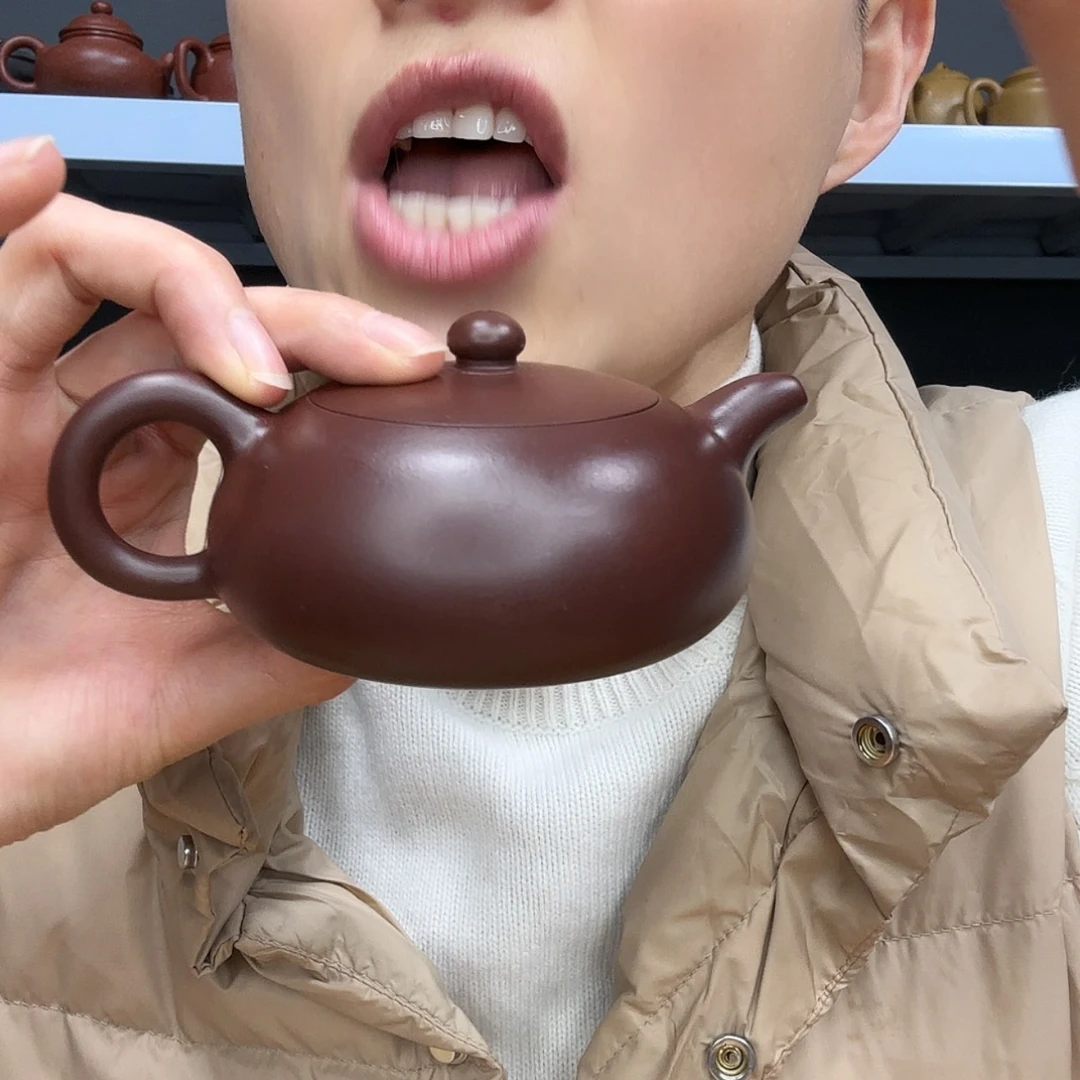 【闪购商品】紫砂茶壶