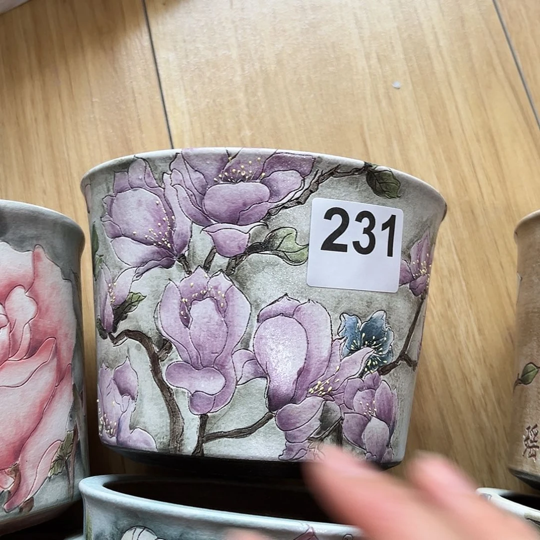 红陶20CM（含）-50CM（不含）？。。。。