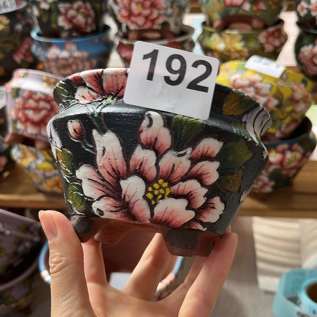红陶20CM以下。。。。。。。