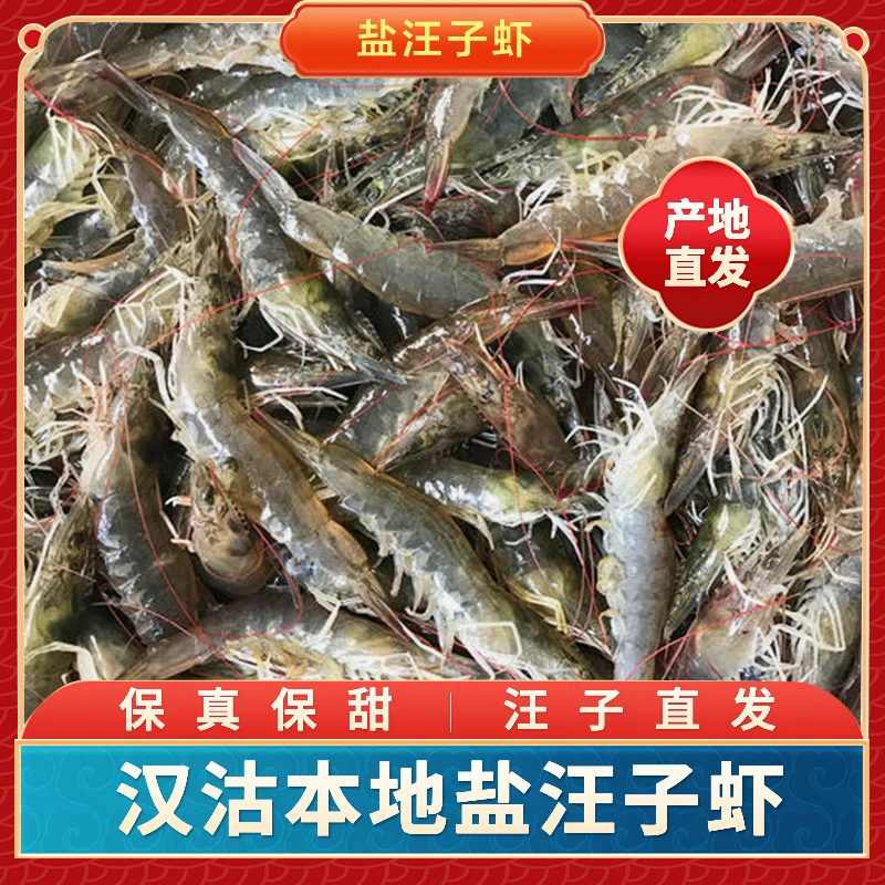 【断氧盐汪子虾】汉沽杨家锋味 断氧盐汪子虾  只发天津市区