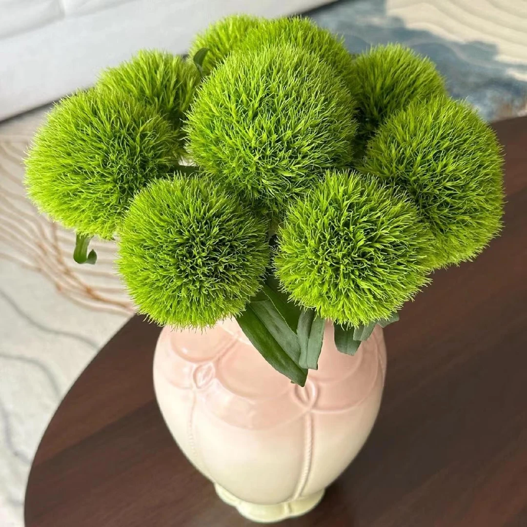 【绿毛球】网红爆款绿毛球真花水养超长花期