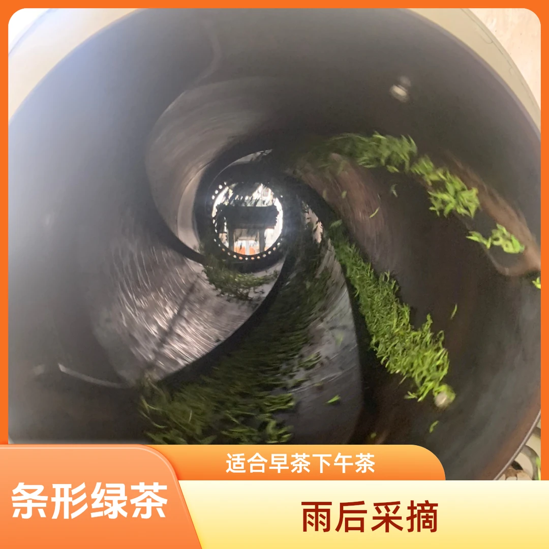 东阳春无公害认证花香或豌豆鲜好茶