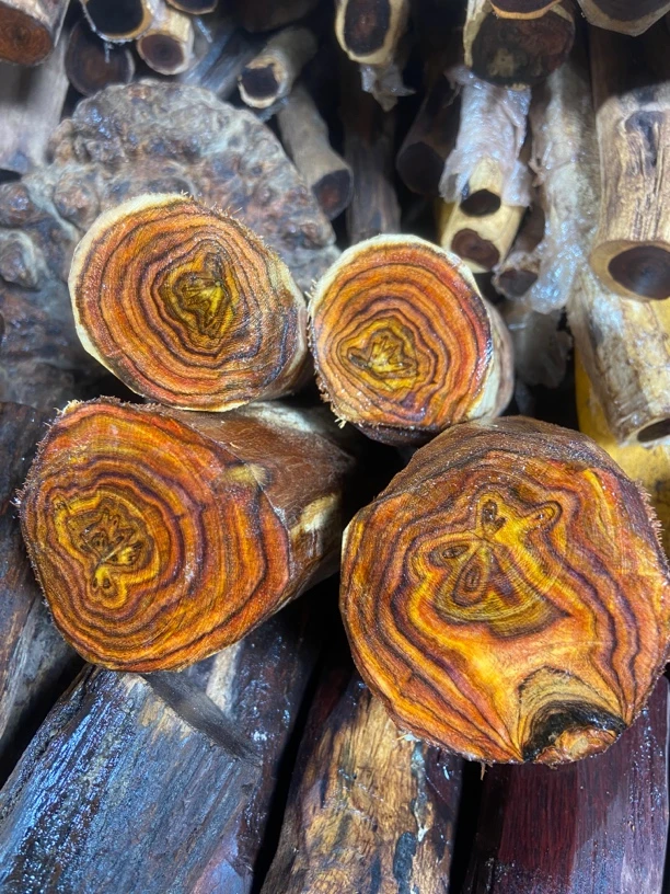 黄花梨原料一经开料不退不换