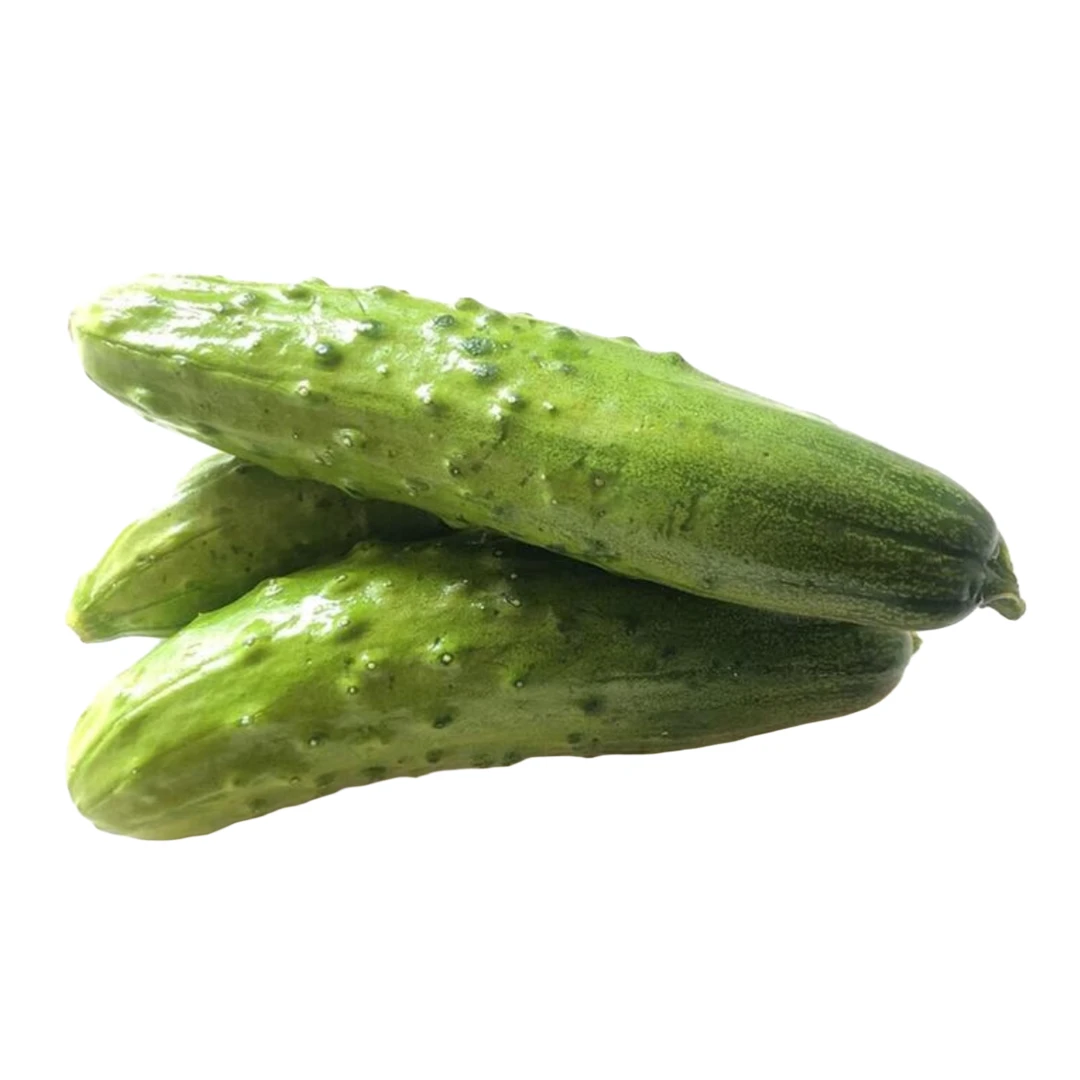 旱黄瓜500g黄瓜同城送黄瓜同城配