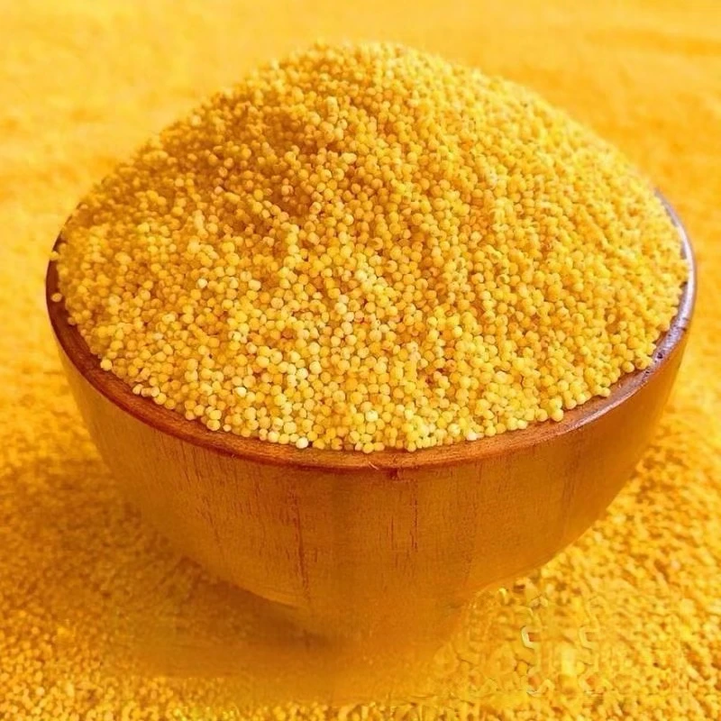 【淮农甄选】正宗农家小米营养丰富老少皆宜