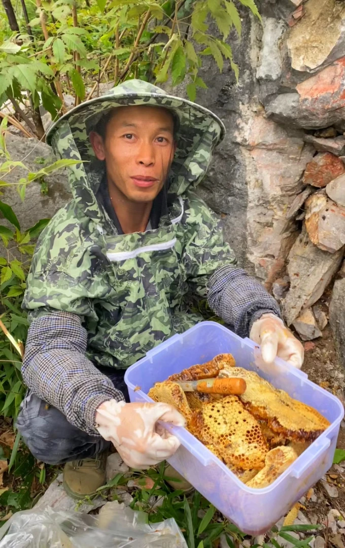 深山蜜正宗蜂蜜结晶蜜一瓶（500克）