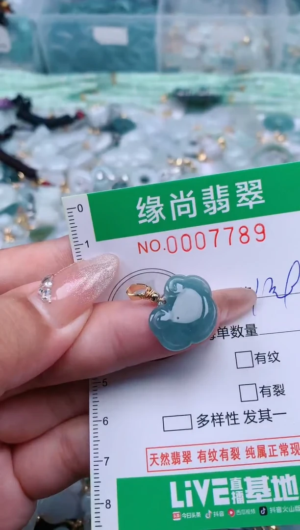 【闪购商品】翡翠颈饰未镶嵌.0007789
