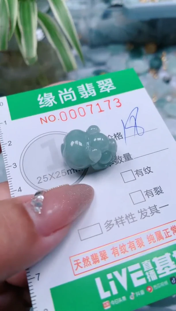 【闪购商品】翡翠颈饰未镶嵌.0007173