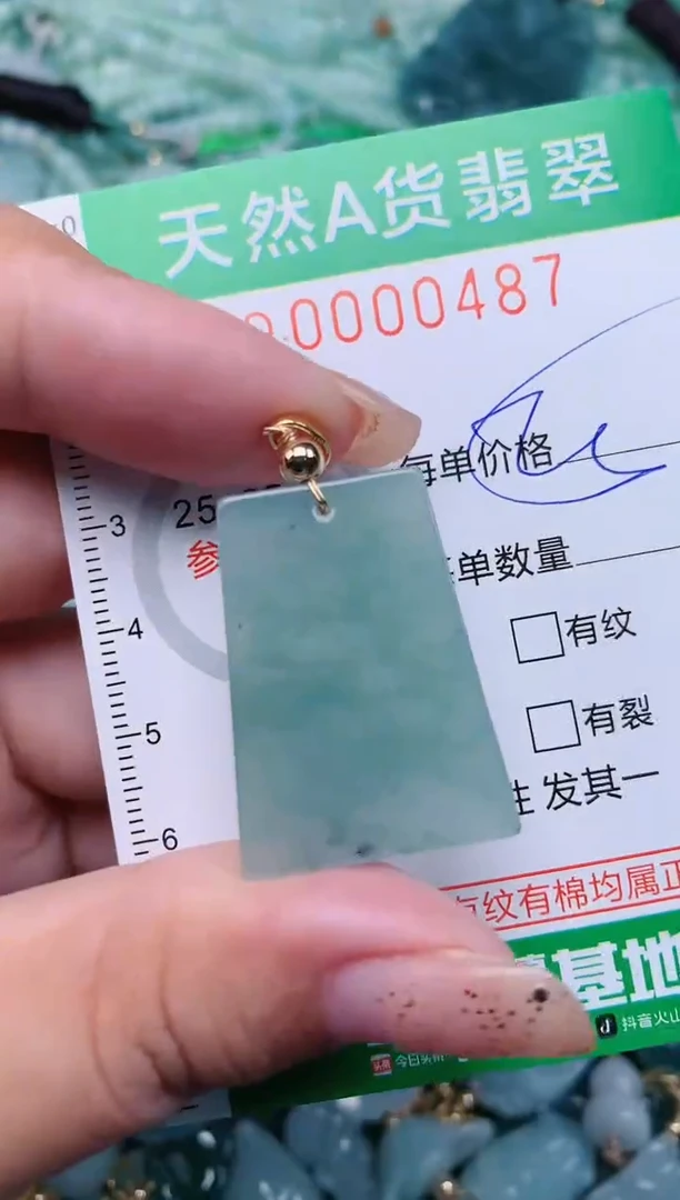 【闪购商品】翡翠颈饰未镶嵌.0000487
