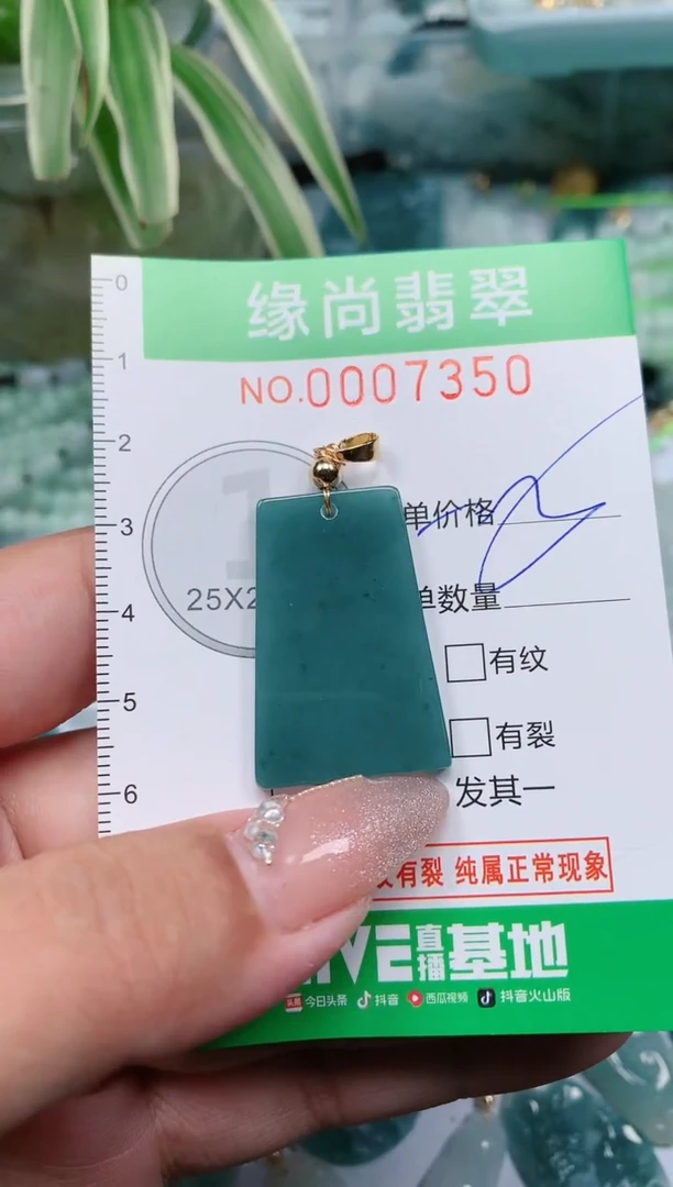 【闪购商品】翡翠颈饰未镶嵌.0007350