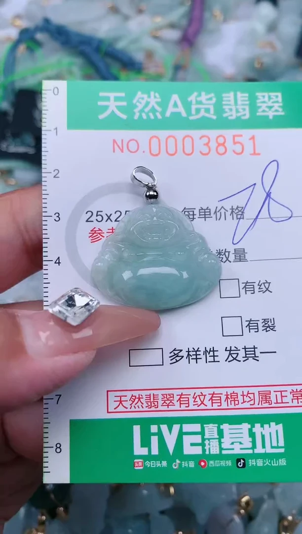 【闪购商品】翡翠颈饰未镶嵌.0003851