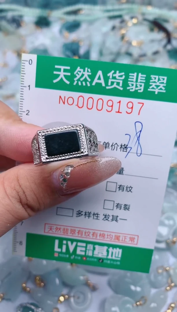 【闪购商品】翡翠颈饰未镶嵌.0009197