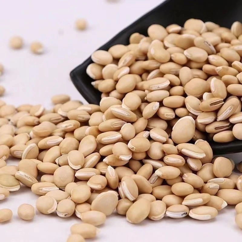 【玉姐精选】大号正南豆煮粥煲汤 500g