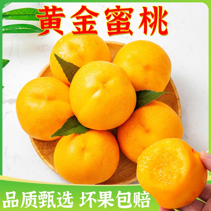 【顺丰包邮】黄金蜜桃新鲜黄桃皮薄肉厚黄肉毛桃当季孕妇水果2斤起