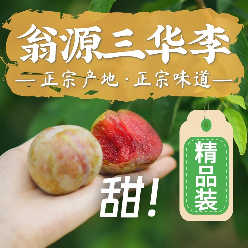 【精品礼盒装】特大果正宗翁源三华李甜脆蜜味口感净重5斤42颗