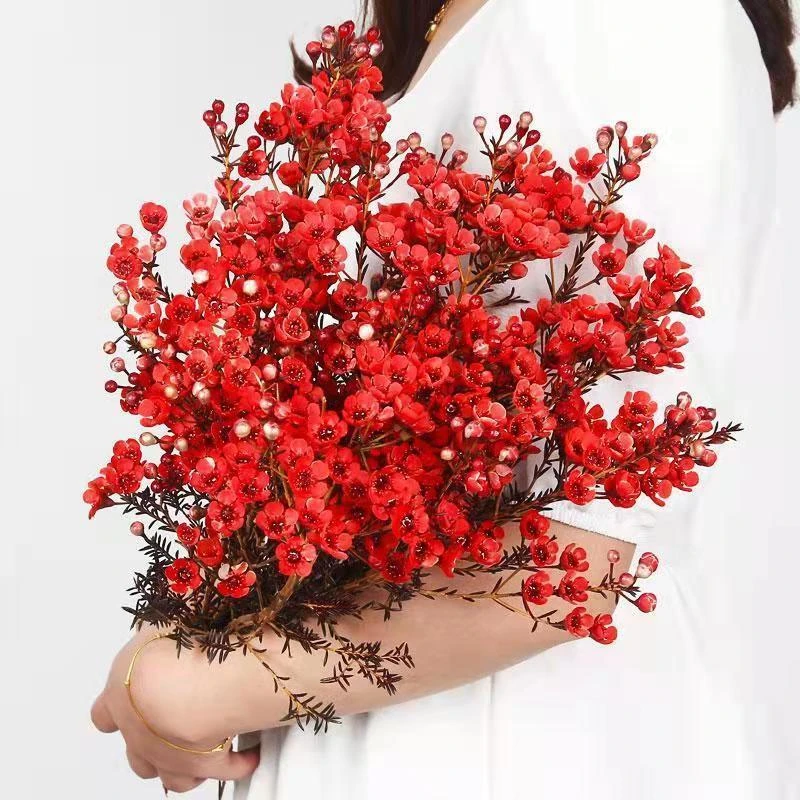 澳洲腊梅鲜花插花水培花卉云南直销基地直发真花年宵花客厅摆设