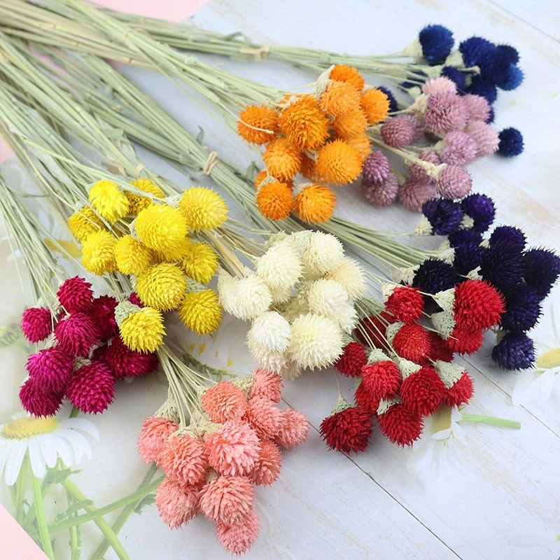 千日红干花草莓果宝石花diy永生花材料手工制作女神节玻璃罩花盒