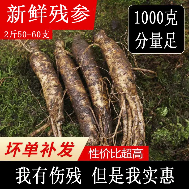 残参2斤 （中）长白山鲜人参（鲜参有伤残）不影响自家食用新鲜滋补