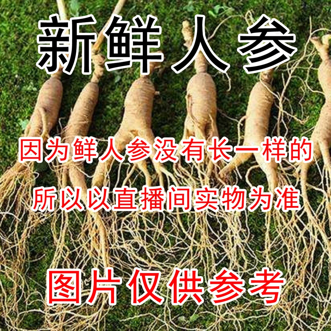 长白山鲜人参4-5年（有伤残）不影响自家食用新鲜滋补