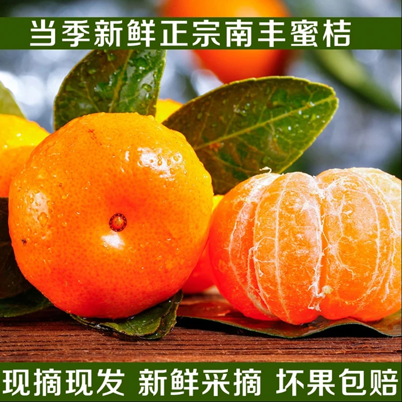 南丰蜜桔新鲜采摘新鲜发货