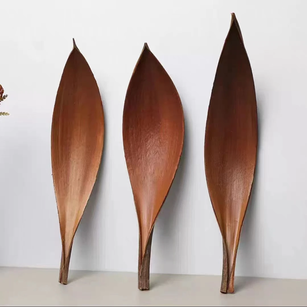 【花落谁家】可可叶干花天然植物绘画道具桌面装饰摆件托盘创意