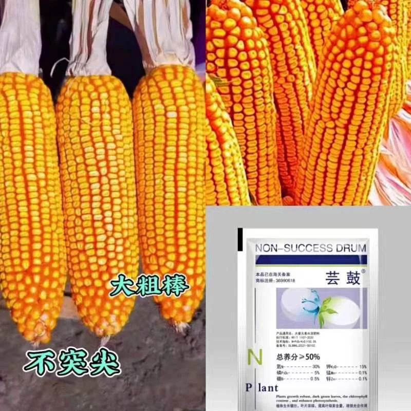 奥德丰-高产大棒王（一组两袋11000粒）-买五组赠一袋-买十组赠两袋