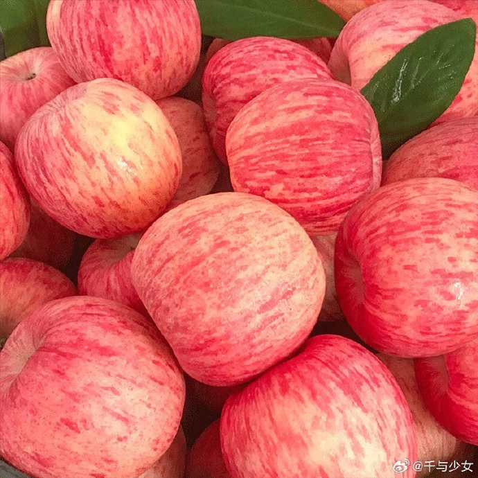 陕西红富士苹果500g