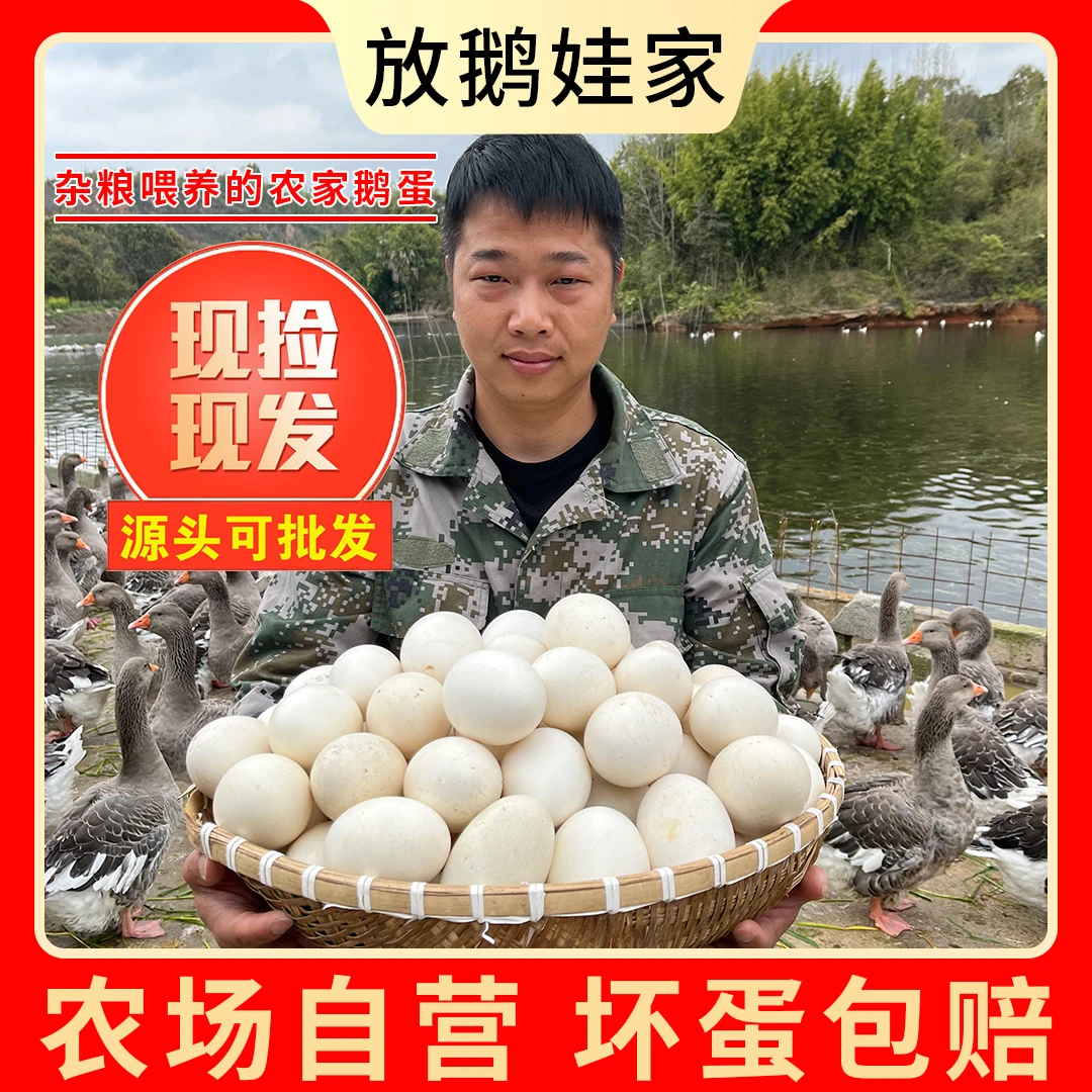 【金穗】现捡现发新鲜散养鹅蛋一箱12枚单枚重120g左右双黄居多