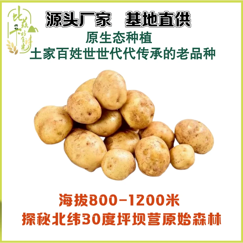 恩施小土豆5斤/件，恩施高山硒土豆老品种马尔科洋芋马铃薯蔬菜