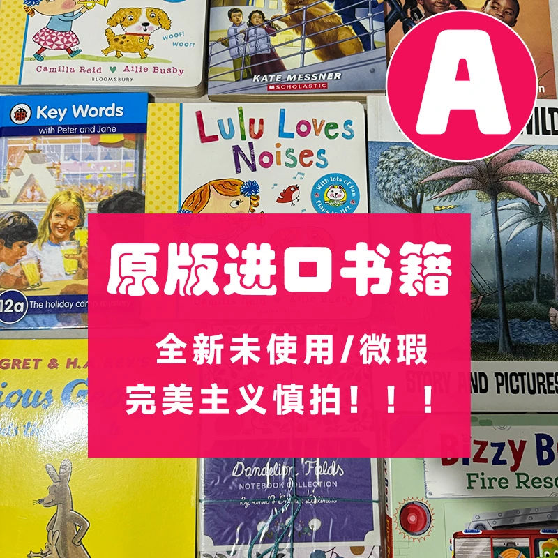A库克图书原版进口全新未使用微瑕儿童小学生英文绘本章节书桥梁