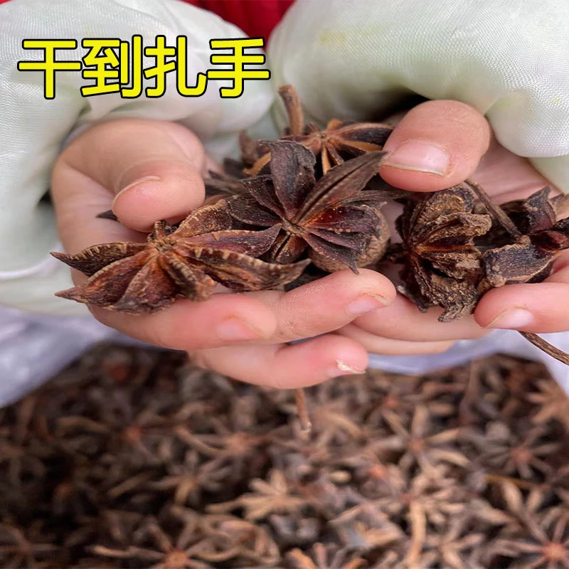 八角大料全干正宗纯天然足干大茴炖肉调味料干货无硫无干燥剂八角