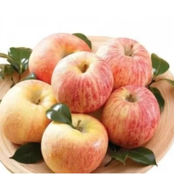 水果 苹果好吃棒棒棒