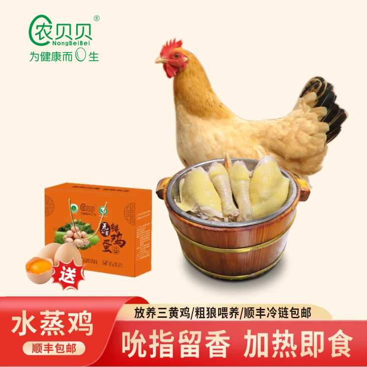农贝贝飞禽水蒸鸡加热即食广西山林散养5到6个月三黄鸡土鸡800g