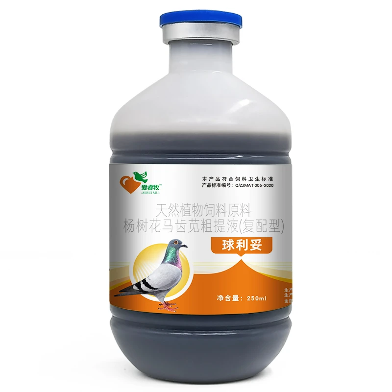 赛鸽信鸽鸟类球立妥鸽鸟专用