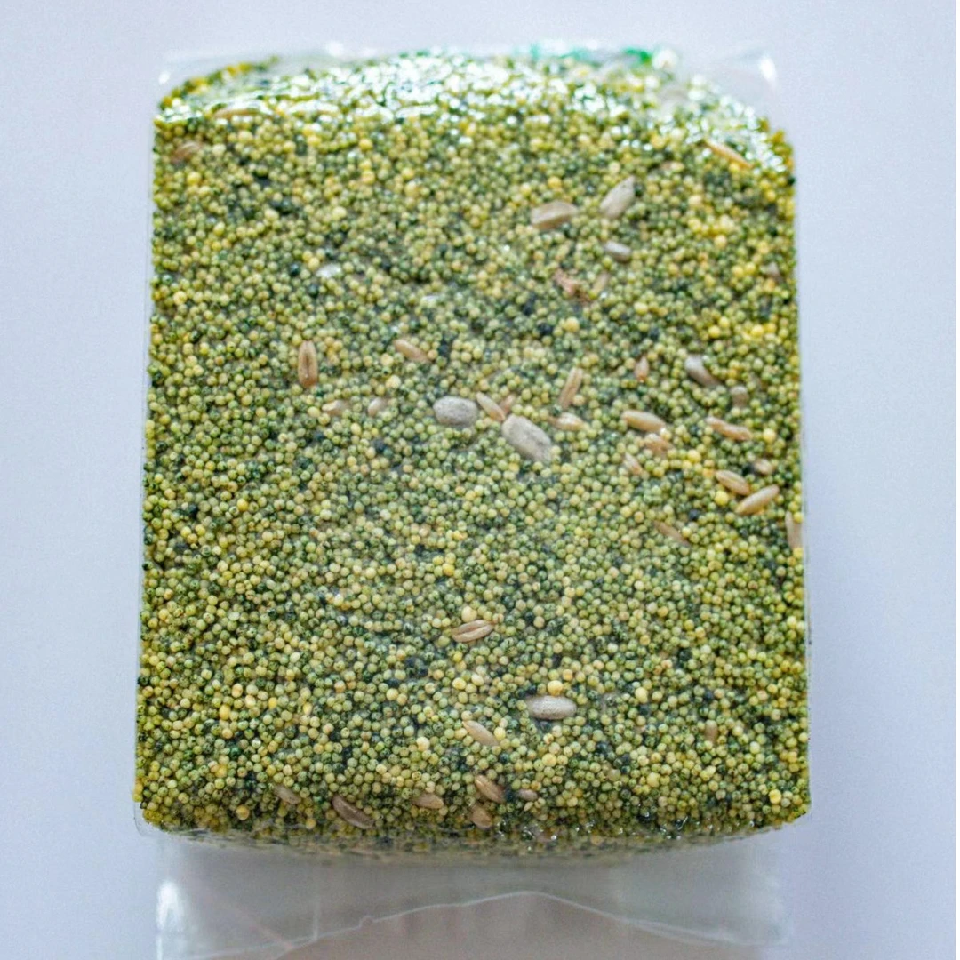 鹦鹉螺旋藻小米，添加Quiko的鹦鹉专用螺旋藻粉食粮日常