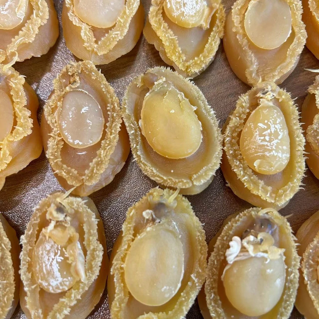 【飞飞精选】60头鲍鱼  大连鲍鱼  98成干