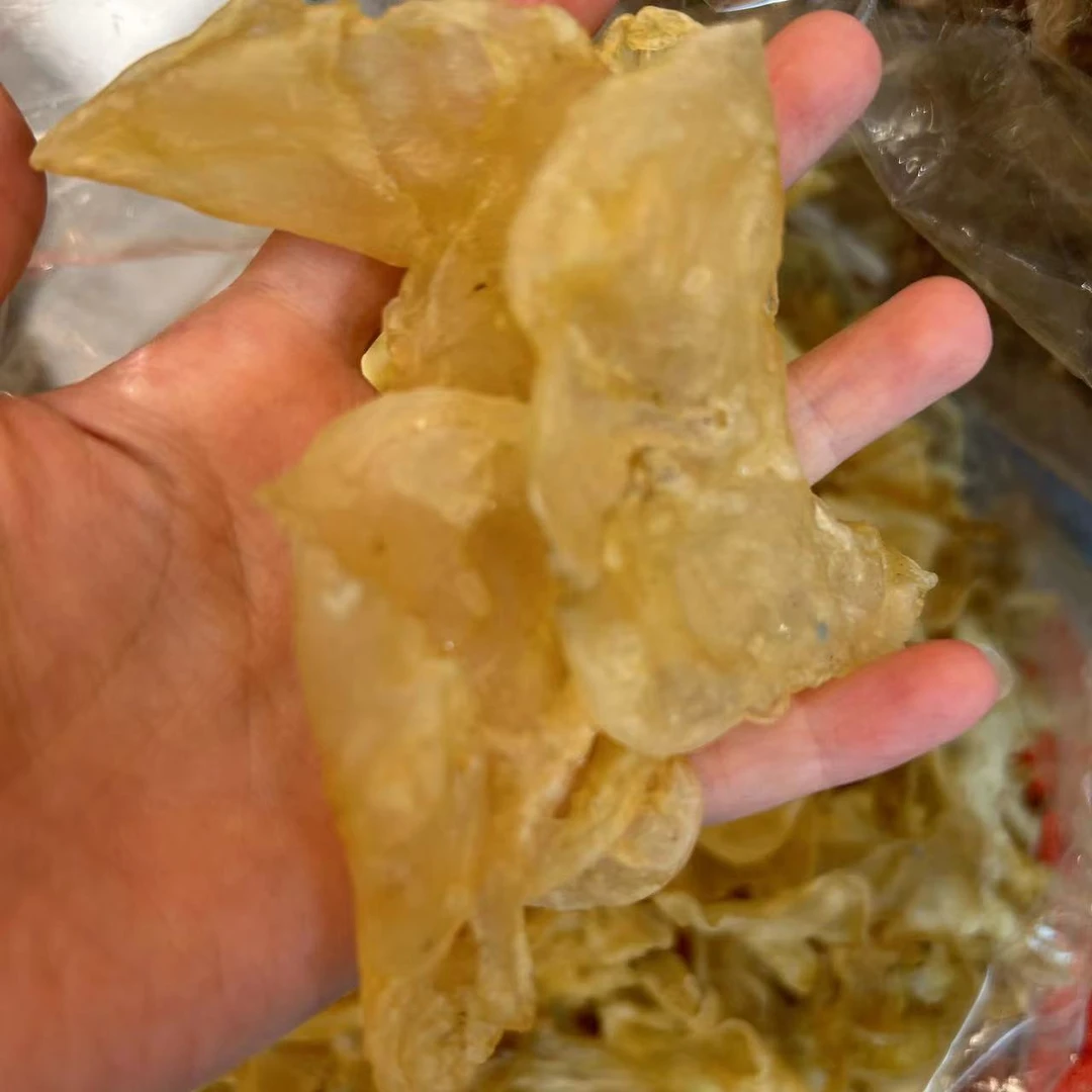 【飞飞精选】100头油龟鸡泡胶 煲汤炖汤