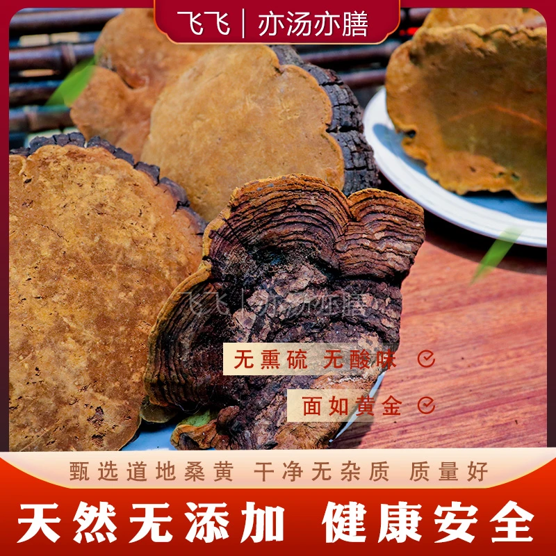 【飞飞精选】大号西藏桑黄 切片散装罐装方便食用煲水煲汤-山药