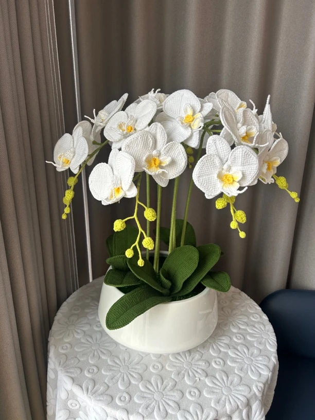 大蝴蝶兰手工毛线钩织材料包  DIY材料包  渐变需染色  不带花盆