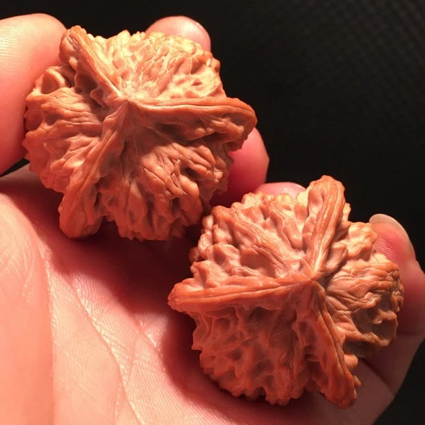 纯天然生长三棱麻核桃盘山三棱