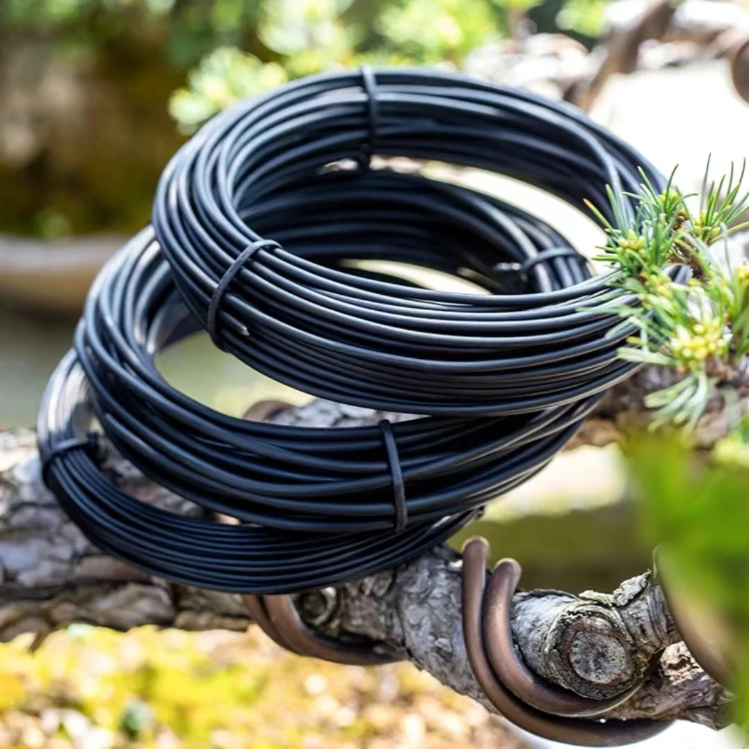 三角梅定型金枝玉叶罗汉松蟠扎金枝玉叶盘扎扎丝金枝玉叶金枝玉叶