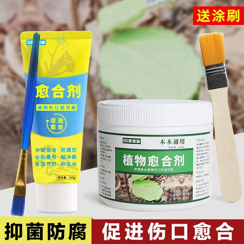 伤口愈合剂植物愈合剂园艺愈合专用防腐烂愈合剂树木伤口愈合剂